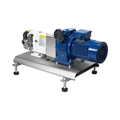 Servo Motor Hız Düşürücü Çıkış Lob Pompası